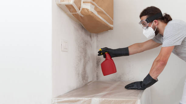 Professional Attic Mold Removal technician working in Woodbury, PA