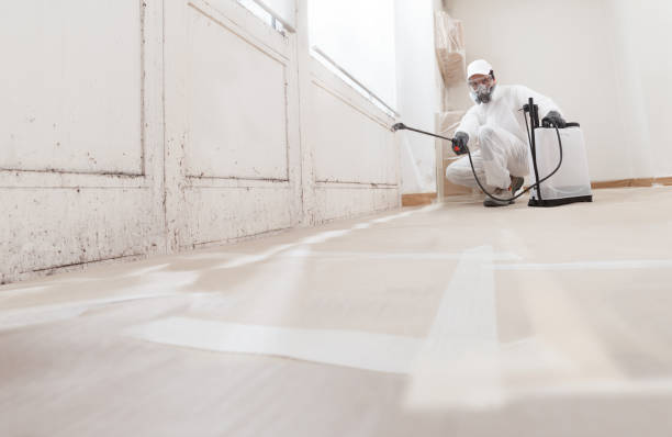 24/7 Emergency Attic Mold Removal experts in Woodbury, PA