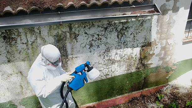Trusted Commercial Mold Remediation service in Woodbury, PA - Cheap Mold Removal